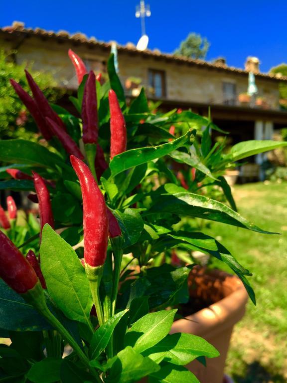 Poggio Paradiso Apartments Mengara Szoba fotó